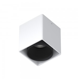 BOX-PULSAR ED WHITE/BLACK